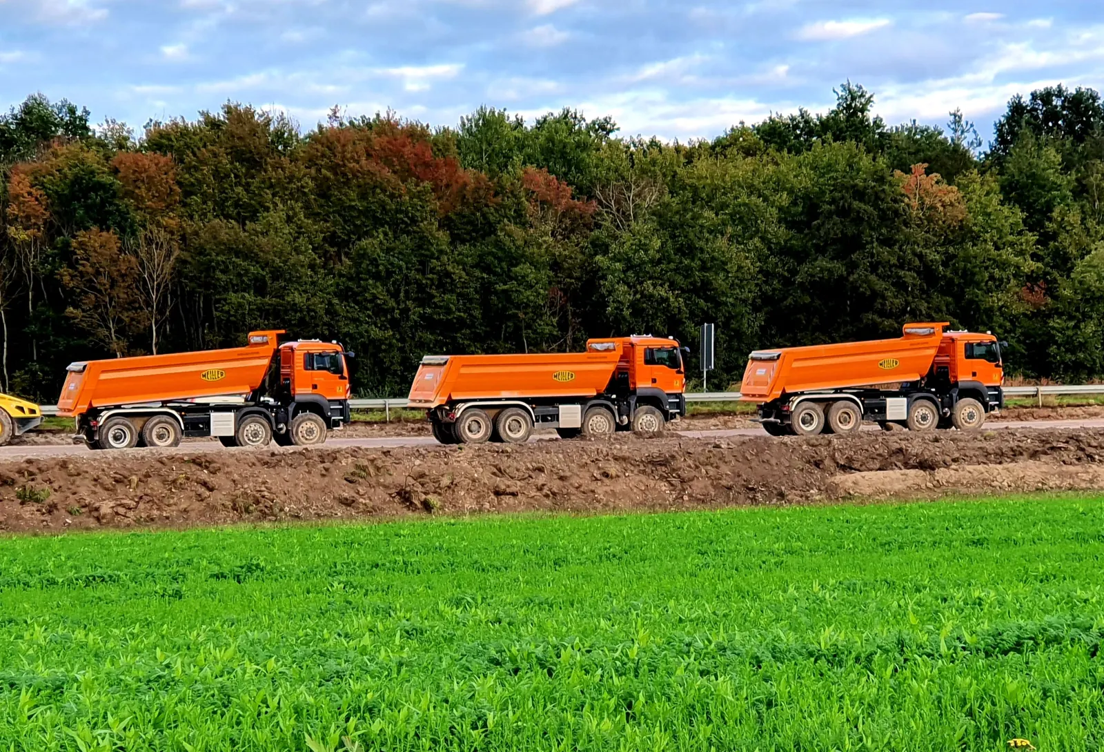 Trois camions bennes alignés au bord d'un champ